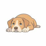 Chien agité et stressé